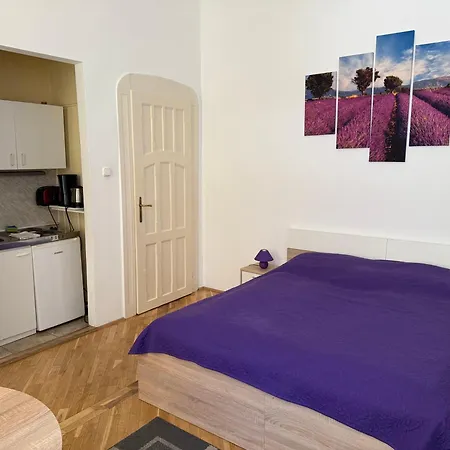 小匈牙利公寓 公寓 布达佩斯