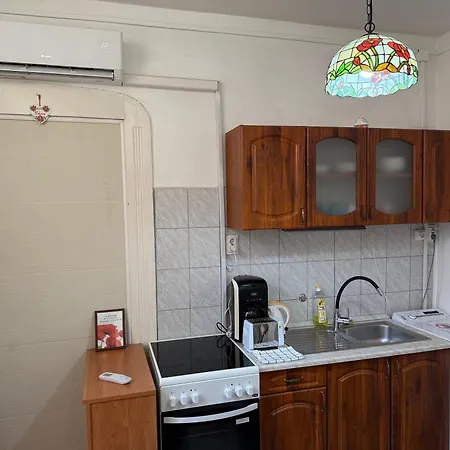 小匈牙利公寓 *